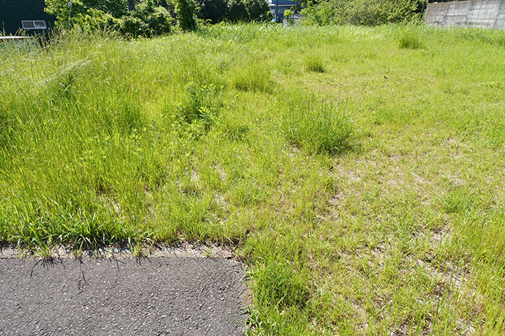 1. 船橋市にお住まいのN様が、「相続した負動産を売却できた事例」